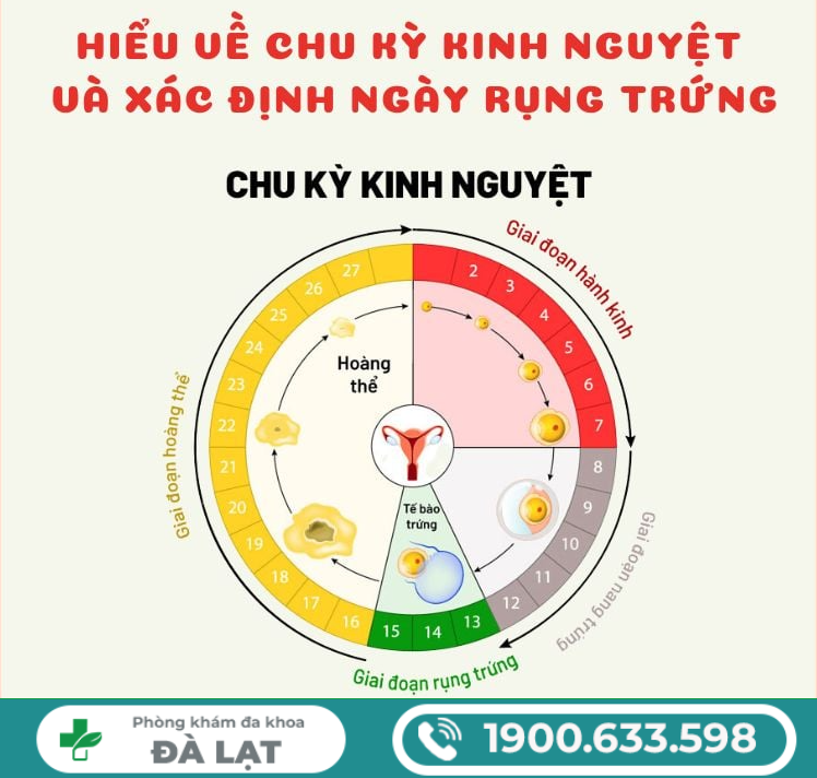 Hình ảnh minh họa