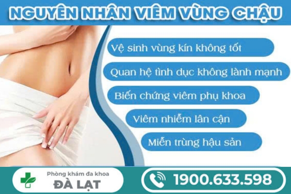 Hình ảnh minh họa