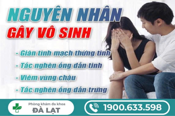 Hình ảnh minh họa