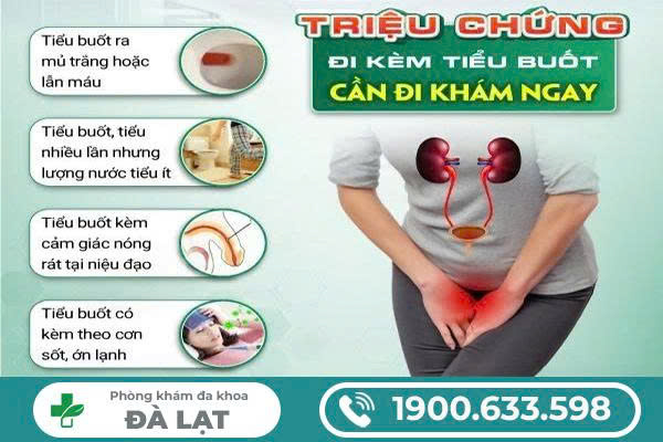 Hình ảnh minh họa