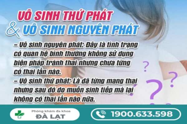 Hình ảnh minh họa